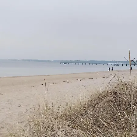 Daire Appartment Strandzeit 96 - Waldblick Am Strand *